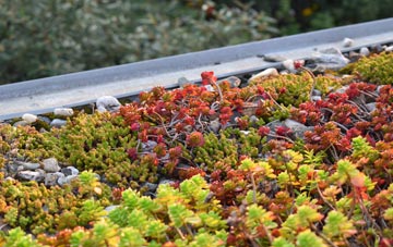 the cost of Newton On The Moor green roof installation
