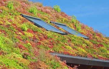 Newton On The Moor living roof systems