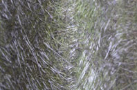 Newton On The Moor fibreglass roof work